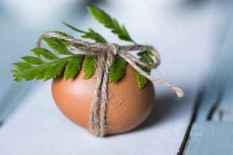 brown egg with leaf